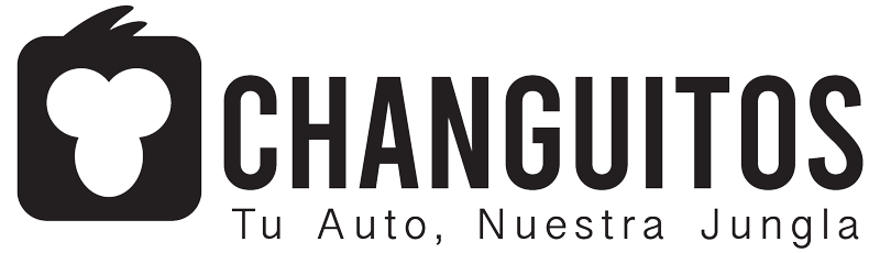 Changuitos Car Detailing